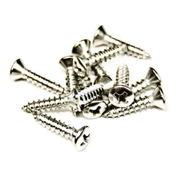 Stainless Oval Head Phillips Screw