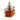 5 Position Rotary Switch, 4-Pole, Solid Shaft