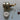 TBX Tone control potentiometer kit - genuine Fender